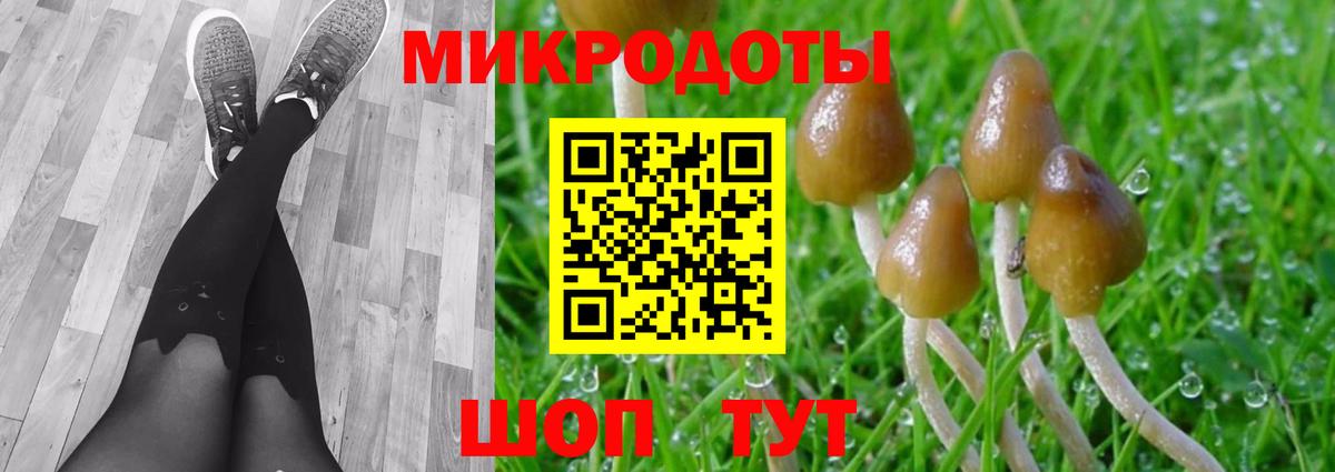 Чебаркуль  Псилоцибиновые грибы мухоморы  Вход с VPN  Псилоцибиновые грибы Psilocybine cubensis 