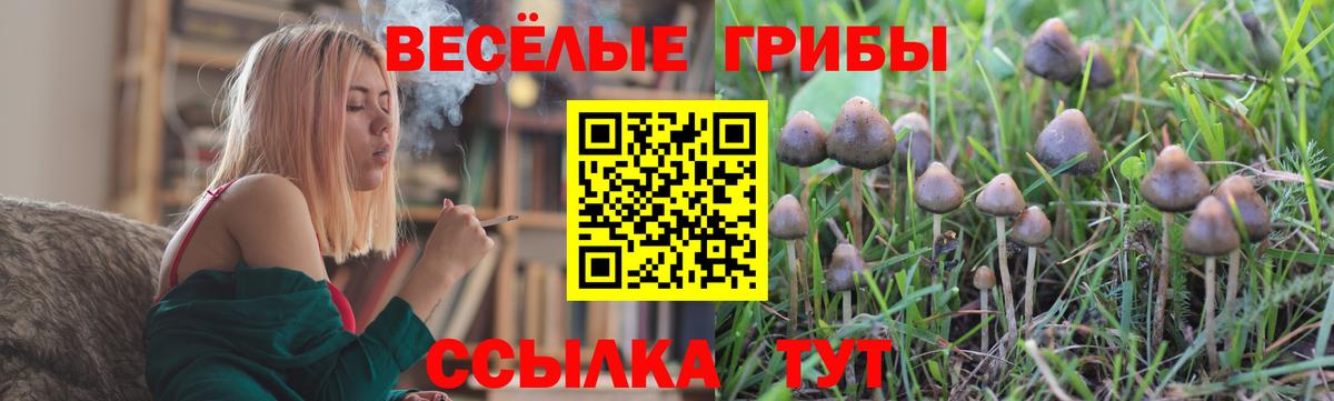 Галлюциногенные грибы прущие грибы Чебаркуль